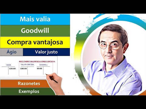 Goodwill. Added value. Bargain purchase. Premium. Fair value. Charts.