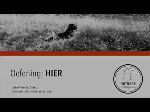 oefening "HIER"