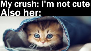 Wholesome Memes To Send Your Crush Video Photo