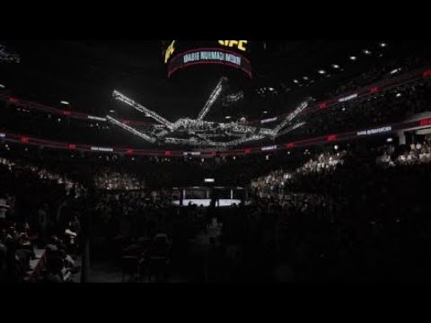 GFC Nurmagomedov VS Poirier title fight