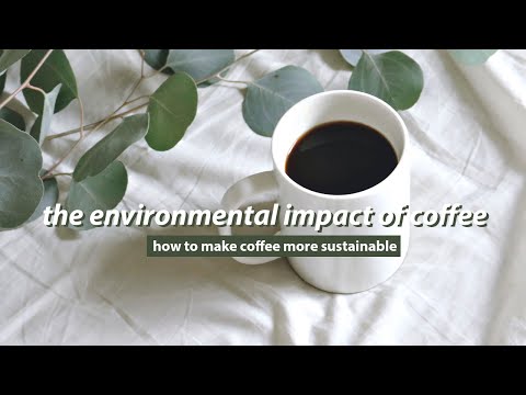 THE IMPACT OF COFFEE //  coffee vs tea, what is most sustainable