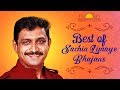Art of Living Bhajans by Sachin Limaye | Narayana Hari Narayana | Krishna Kanha | Ram Krishna Hari