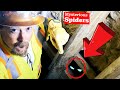 Creepy Spiders Are Coming from Our Mine Shaft