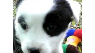 josh kelley baby blue eyes