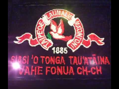 《Hiva Usu》PELESASA ♥️