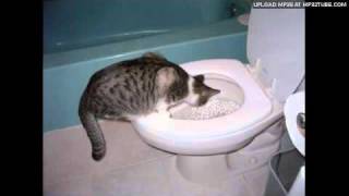 Stuart McLean - Toilet Training The Cat Part 2
