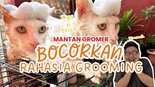 Download lagu MANTAN GROOMER INI BOCORKAN RAHASIA GROOMING ‼️‼️ |Tips & Trik mandiin kucing mp3 Download lagu MANTAN GROOMER INI BOCORKAN RAHASIA GROOMING ‼️‼️ |Tips & Trik mandiin kucing mp3
