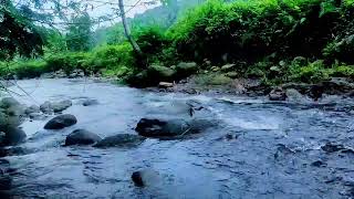 Calming Nature Water Sounds for Sleep & Relaxation – White Noise.