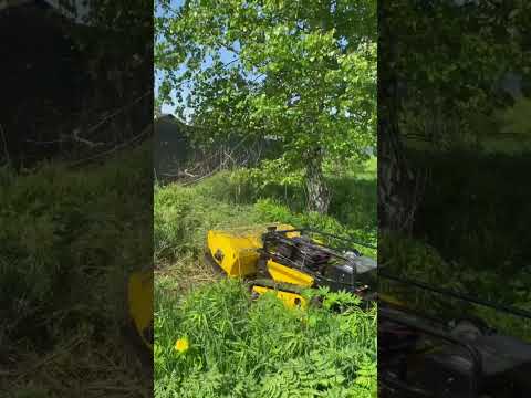 фото покос травы бурьяна кустарника борщевика 0