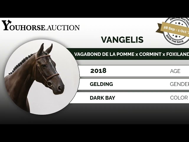 Vangelis showvideo