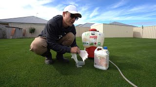Finally Getting Rid Of The Weeds In My Lawn // Broadleaf Weed Spray