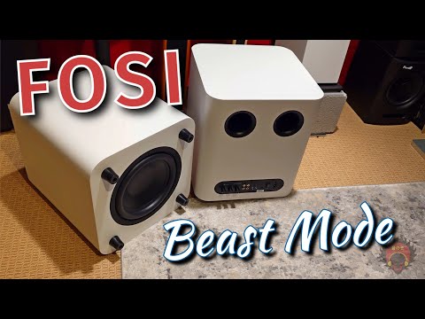 Fosi made a Kick-AZ $300 SUBWOOFER || Z Reviews