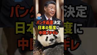 【別に…】中国の切り札wパンダ外交も失敗か🐼　#政治   #雑学   #日本   #高市政権