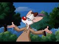 Pinky Burps 1