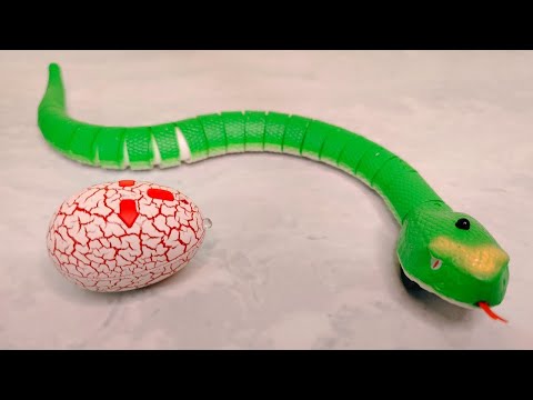 Rc Green Jungle Fastest Snake Unboxing & Testing Prank Gadgets | prank snake unboxing #snakeprank