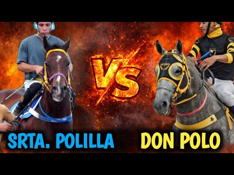 SRTA. POLILLA VS DON POLO  25-01-2026