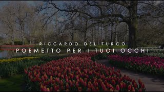 RICCARDO DEL TURCO: Poemetto per i tuoi occhi (Official Video) | Album: I Colori della mia vita