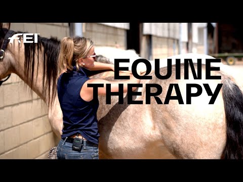 Veterinary physiotherapist video 4