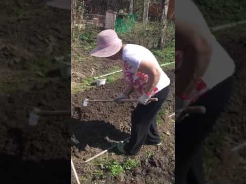 Косая тяпка Skrab 28069 без рукоятки, нержавеющая сталь