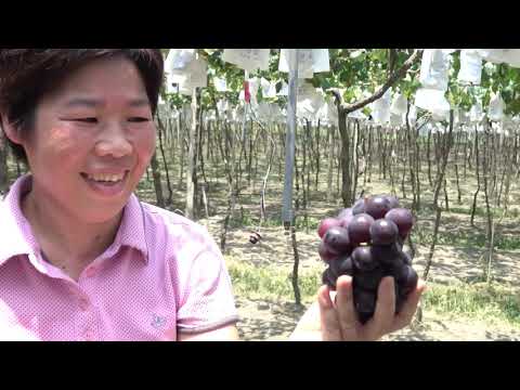 移動的城市精華片