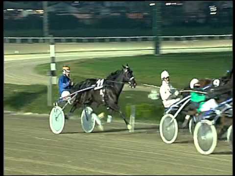 Trotto 17/12/2015 - 5° corsa