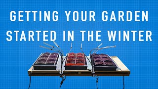 THIS is how To Start Seeds In The Winter