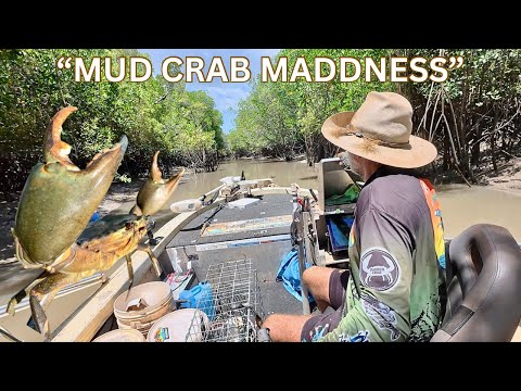 WET SEASON.. “MUD CRAB”.. MAYHEM.. NORTHERN TERRITORY..
