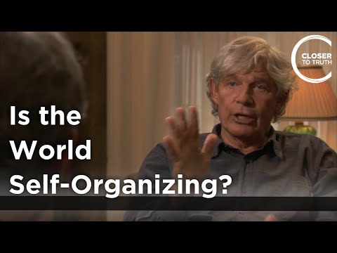 Stuart Kauffman – Organisiert sich die Welt selbst?