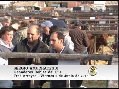 05-06-15 Nota Sergio Amuchategui - La Cascada S.A. - Tres Arroyos