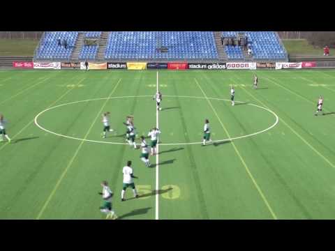 Målen Final Aalborg - Hammarby