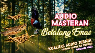 Download lagu #3 Audio Masteran Suara Belalang Emas Jeda Suara Gemricik Air Jernih mp3 Download lagu #3 Audio Masteran Suara Belalang Emas Jeda Suara Gemricik Air Jernih mp3