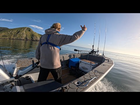 Summer Time? Big Snapper - EPIC Feed and a Sick Soft baiting Day