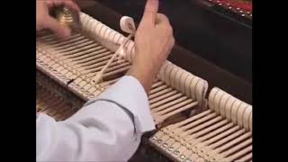 ACPianocraft.com   The Art of Restored Rebuilt Vintage Steinway Pianos