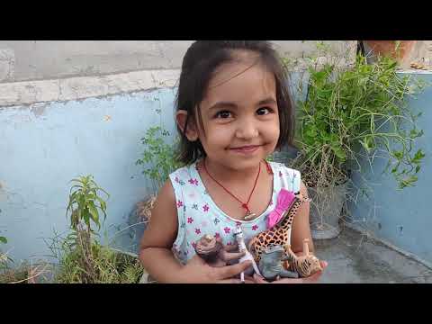 Jungle Tour With Princy | Animals Found in the Jungle | Kids Video