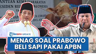Menag soal Prabowo Beli 1098 Ekor Sapi Habiskan APBN Rp 100 Miliar: Bantu Rakyat Tak Kelaparan