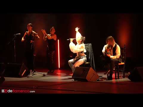 María José Llergo  en Flamenco on Fire 2022