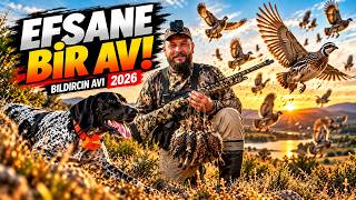 Efsane Bir Av! 🔥🐕 Bıldırcın Avı | Bıldırcın Avı 2026