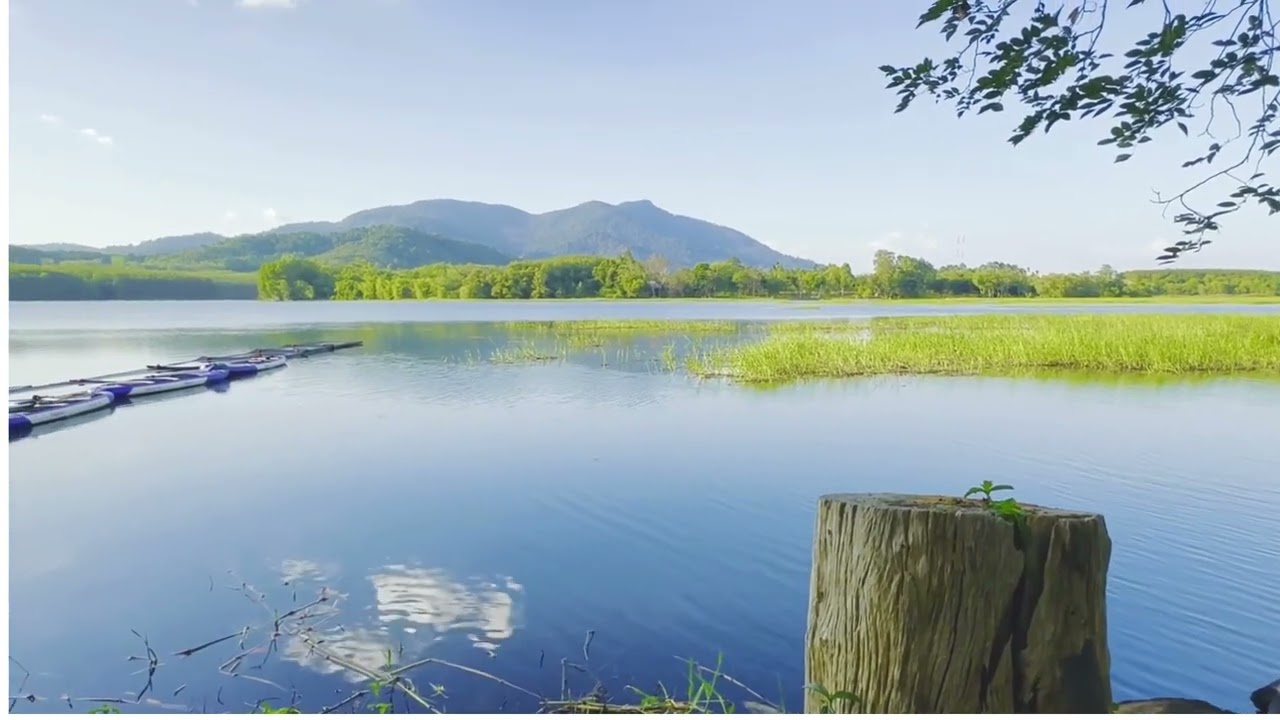 Relaxing Piano Music 🎹 | Relax, Meditate & Find Inner Peace