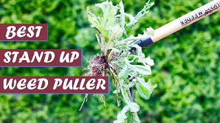 5 Best Stand Up Weed Pullers | Top Best Stand-Up Weeders