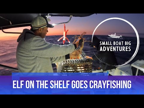 Another day another Crayfish Bag out ! Ft. Elf on the Shelf 