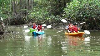 preview picture of video 'Iguana Tours Costa Rica -  Kayak Manuel Antonio'