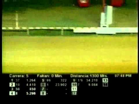 Resumen Viernes, 12 de Octubre de 2012 - Valencia