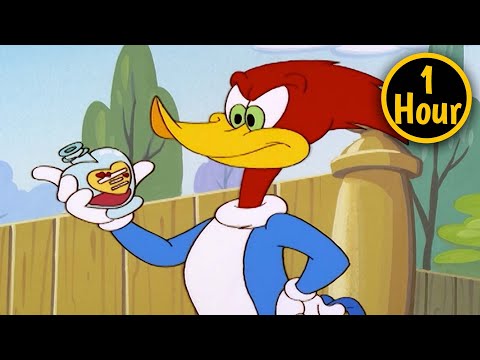 El Pájaro Loco | 1 Hora de Episodios Completos | El amor está en el aire