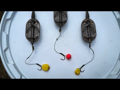 PESCUIT LA METHOD PE RÎU: CARAS FRUMOS SĂLBATIC DE NISTRU