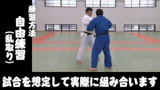 ���R���K�̏_���`�����l��YouTube����