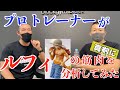 質問コーナー!第1回中編~ルフィの筋肉解説~