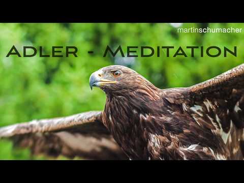 Adler Meditation - Mini Meditation für mehr Überblick und Abstand