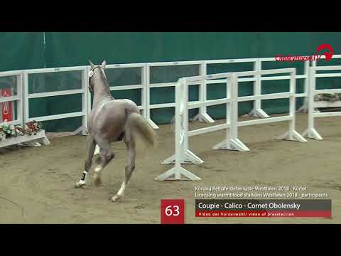 63 Hengst v. Coupie - Calico - Cornet Obolensky