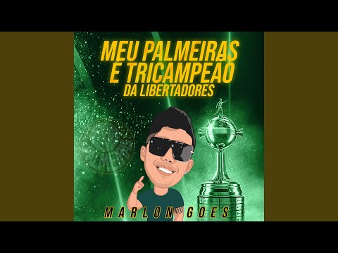 MEU PALMEIRAS E TRICAMPEAO DA LIBERTADORES