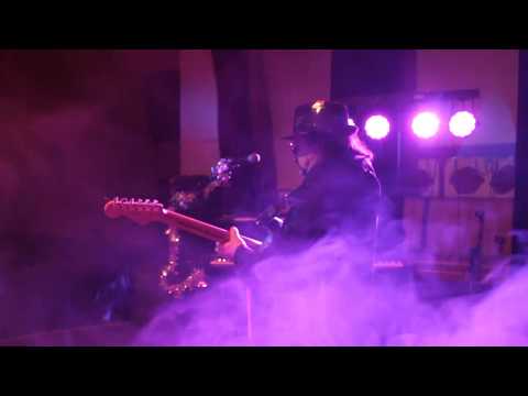 Staré časy - Z mechu a kapradí.